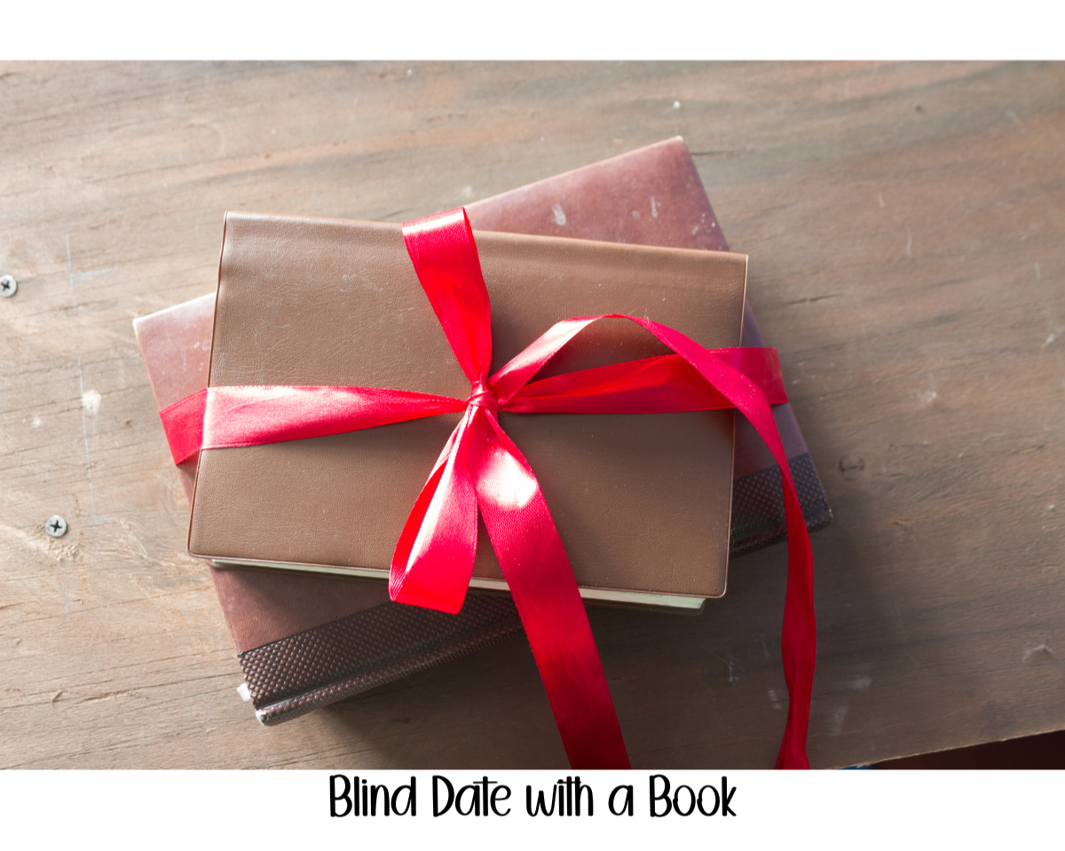 Blind Date With a Book Subscription